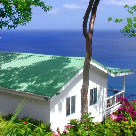 Bed and Breakfast Nature'S Paradise Marigot-Bucht Exterior foto