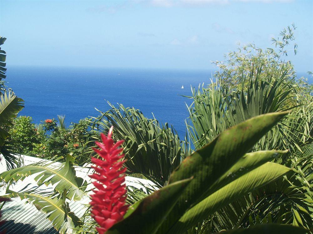 Bed and Breakfast Nature'S Paradise Marigot-Bucht Exterior foto