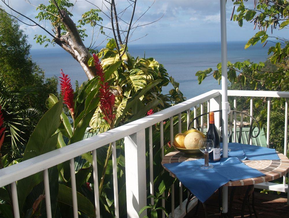 Bed and Breakfast Nature'S Paradise Marigot-Bucht Exterior foto