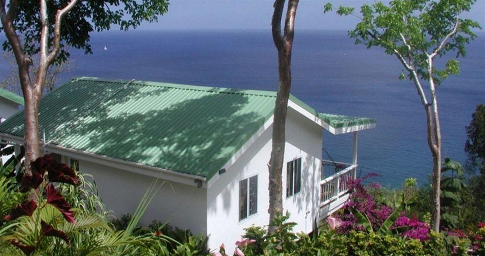 Bed and Breakfast Nature'S Paradise Marigot-Bucht Exterior foto