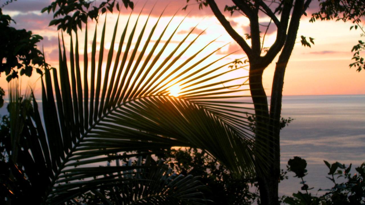 Bed and Breakfast Nature'S Paradise Marigot-Bucht Exterior foto